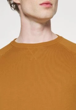 Pier One FelpaCopper Uomo Maglieria E Felpe PI922SA09-G16 -Negozio online Pier One Italia 6e4f4ea8bdb04f24a284a57271e029d0