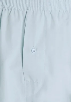 Pier One 5 Pack - Boxer- Light Blue/White 13 Pier One 5 Pack - Boxer- Light Blue/White -Negozio online Pier One Italia 8d526a81d413439291c57bcecfa7d443 scaled